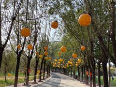 -杨柳青庄园