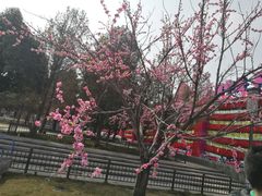 -大雁塔北广场音乐喷泉