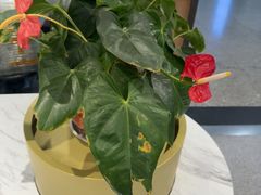 -康师傅私房牛肉面(申虹餐厅店)