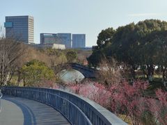 -院士公园