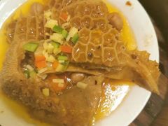 酱汁金钱肚-香云轩·顺德菜(香云纱园林酒店店)