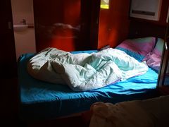 -崇明东平国家森林公园烧烤房车露营地