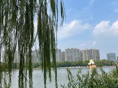 -南翔镇银翔湖公园
