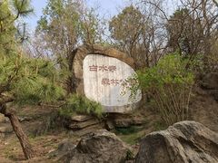 -白水寺森林公园