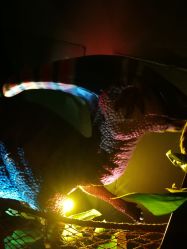 -恐龙探索乐园(磁器口店)