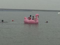 -碧海金沙