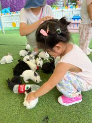 -萌宠亲子动物乐园(槐房万达店)