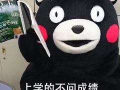 -海底捞火锅(威高广场店)