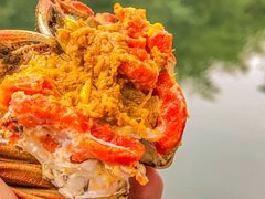-欢乐蟹庄·精品农家乐(阳澄湖莲花岛店)