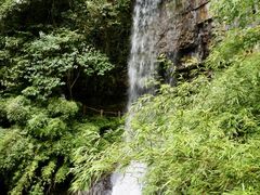-龙苍沟森林公园