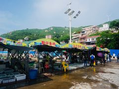 -东澳岛