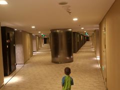 -国家会议中心大酒店