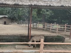 -西安秦岭野生动物园