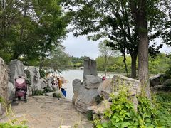 -塘沽森林公园