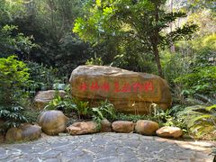 -广州市流溪河国家森林公园