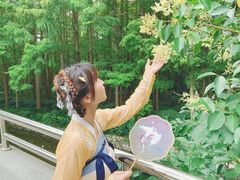 -水杉园