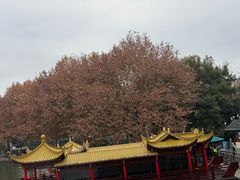 -西湖游船
