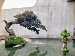 -觀芷隐轩