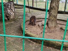 -武汉紫薇都市田园