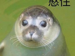 -心悦堂按摩空间