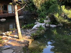 -谢列梅捷沃国际机场