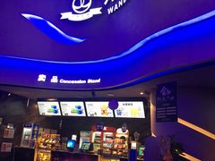 -万达影城(汉街万达广场IMAX店)