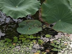 -苏州吴中太湖旅游区