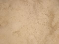 -醉得意·山茶油炒土鸡(莆田仙游方圆荟店)