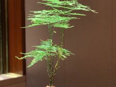 -手佳·水疗汇(嘉益店)