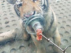 -西安秦岭野生动物园