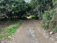 -竹泉农庄·竹筒饭(从化店)