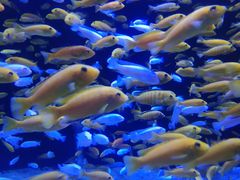 -成都浩海立方海洋公园