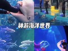 -威海华夏城景区