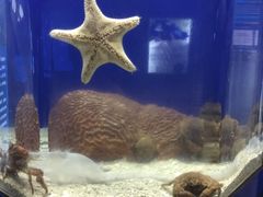 -荔湾足浴·按摩·SPA会所(龙华店)