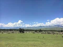 -新疆那拉提国家旅游度假区