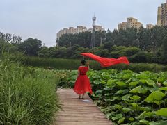 -前关湿地公园