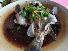 -旗鱼海番村(Orang Asli)