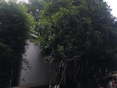 -苏州图书馆(人民路总馆)