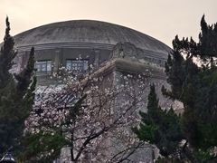-武汉大学-樱园