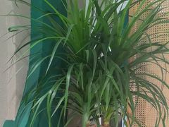 -相遇·川湘融合菜(丹阳吾悦广场店)