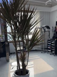 -V7 HAIR SALON