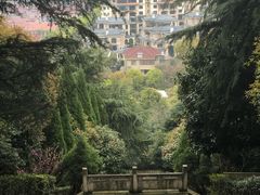 -峙山公园