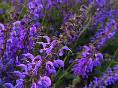 -唐城墙遗址公园