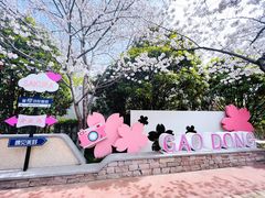 -高东镇樱花园