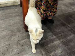 -岳合轩老北京涮肉