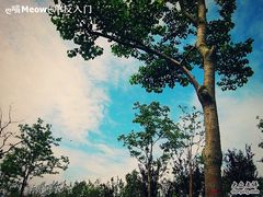 崇明度假游-上海怡沁园度假酒店