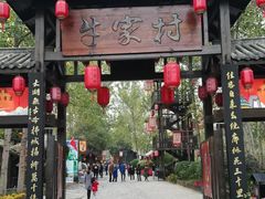 -合肥滨湖国家森林公园