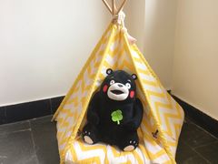 -阿狗圆子