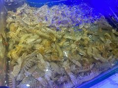-澜悦港海鲜体验主题餐厅