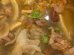 筋头巴脑一锅香-筋头巴脑牛一锅(朝阳路总店)